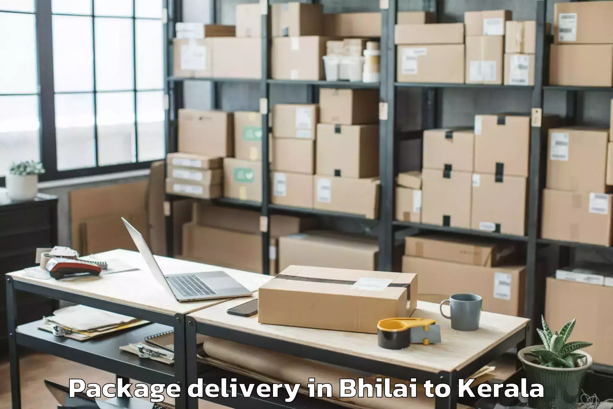 Trusted Bhilai to Punalur Package Delivery